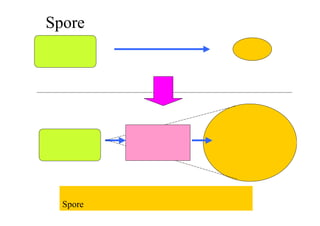 Spore のゲームデザインの本質
ユーザー操作 データ
ユーザー操作 データプロシージャル
プロシージャルはユーザーの労力を最大化する。
Sporeはその最大化された成果を利用する。
 