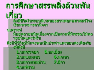 การศึกษาสรรพสิ่งล้วนพันเกี่ยว สิ่งมีชีวิตในระบบนิเวศของสวนพฤกษศาสตร์โรงเรียนพระมารดานิจจา นุเคราะห์ มีอยู่หลายชนิดเนื่องจากเป็นสวนที่มีพรรณไม้หลายชนิดและร่มรื่น  สิ่งมีที่ชีวิตที่มักจะพบเป็นประจำและชอบส่งเสียงร้องมีดังนี้ 1. นกกระจอก  5. นกเอี้ยง 2. นกแซงแซว  6. นกเขา 3. นกกางเขนบ้าน  7. อีกา 4. นกพิราบ ส่วนสัตว์เล็กที่ชอบสร้างความรำคาญสำหรับผู้ที่ชอบนั่งเล่นใต้ต้นไม้ก็จะ เป็น  มดแดง  ต่อแตน  มดดำ  และผึ้ง เป็นต้น 