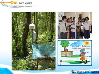 เนื้อหาโดยพิสุทธิ์ ไพบูลย์รัตน์ 