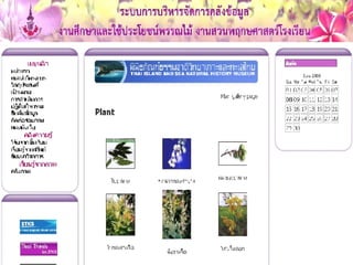 ตัวอย่างคลังภาพ 
