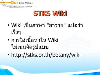 STKS Wiki Wiki  เป็นภาษา  " ฮาวาย "  แปลว่า  เร็วๆ การใส่เนื้อหาใน  Wiki  ไม่เน้นจัดรูปแบบ http://stks . or . th / botany / wiki 