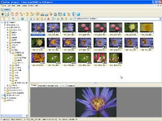 จอภาพ  XnView 