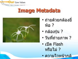 Image Metadata ถ่ายด้วยกล้องยี่ห้อ  ? กล้องรุ่น  ? วันที่ถ่ายภาพ  ? เปิด  Flash  หรือไม่  ? ความไวหน้ากล้อง  ? 