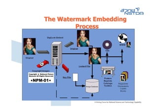 The Watermark Embedding
         Process
 