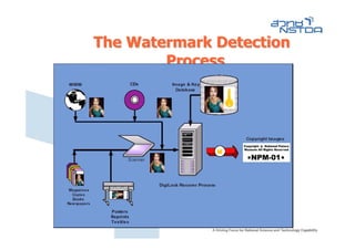 The Watermark Detection
        Process
 