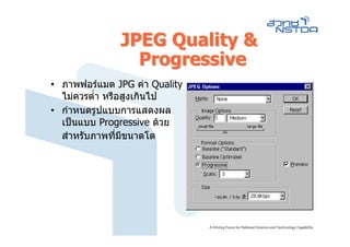 JPEG Quality &
                Progressive
• ภาพฟอรแมต JPG คา Quality
  ไมควรต่า หรือสูงเกินไป
          ํ
• กําหนดรูปแบบการแสดงผล
  เปนแบบ Progressive ดวย
  สําหรับภาพที่มีขนาดโต
 