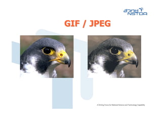 GIF / JPEG
 