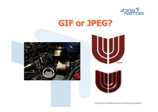 GIF or JPEG?
 