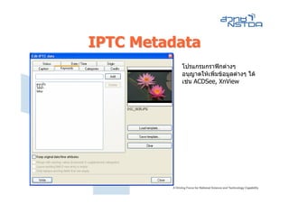 IPTC Metadata
          โปรแกรมกราฟกตางๆ
          อนุญาตใหเพิ่มขอมูลตางๆ ได
          เชน ACDSee, XnView
 