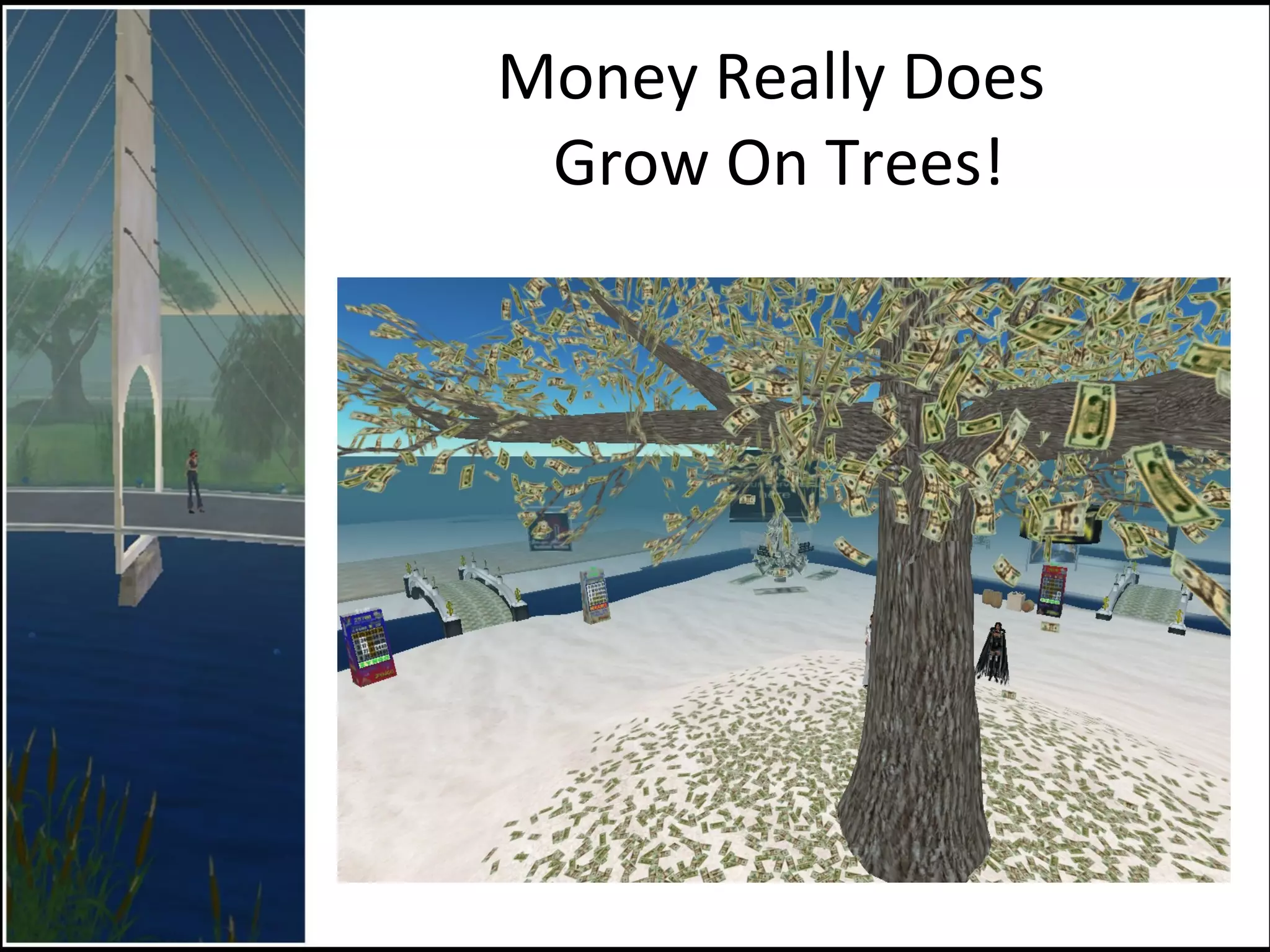 Money Really Does  Grow On Trees! 