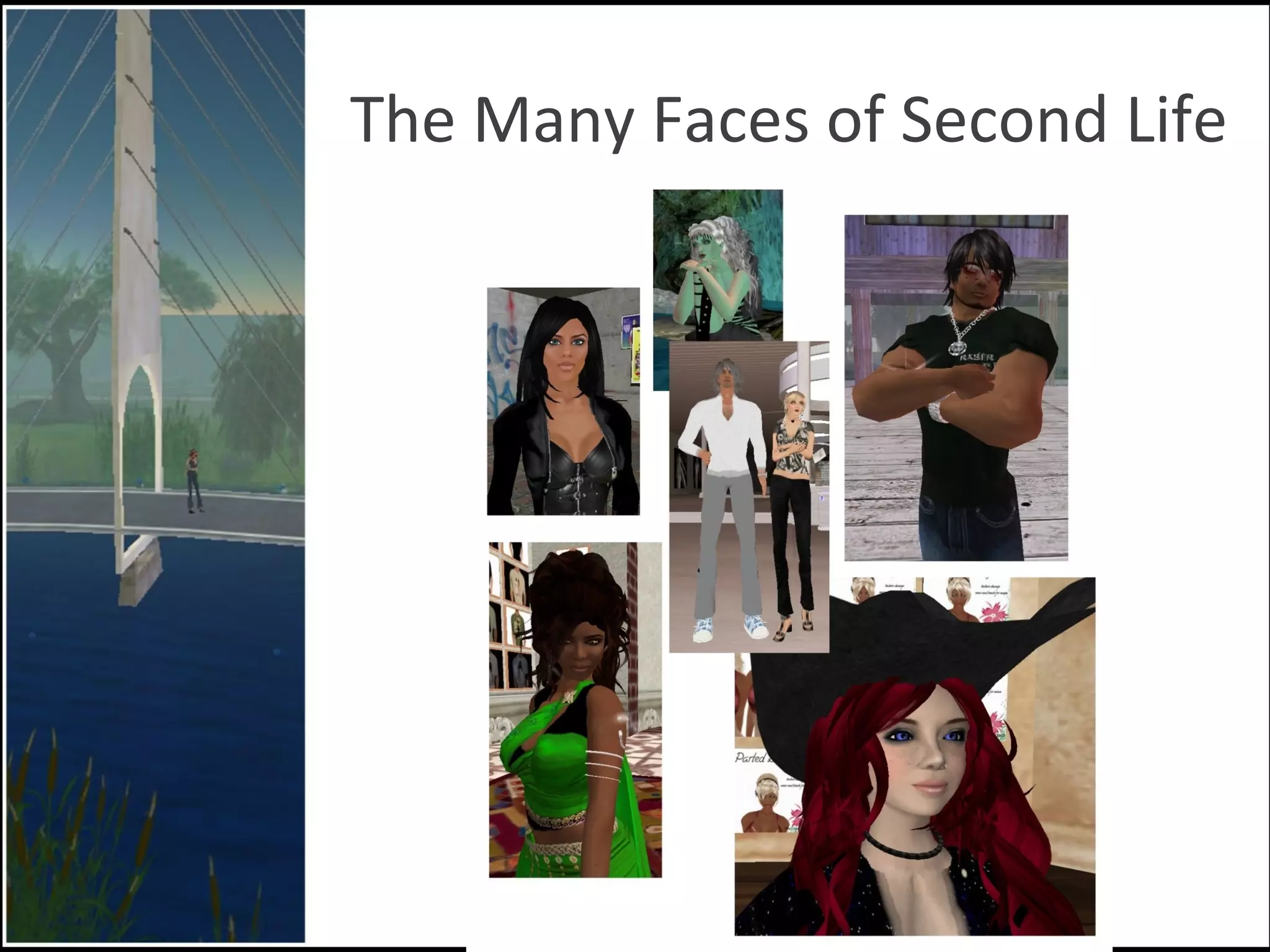 The Many Faces of Second Life 