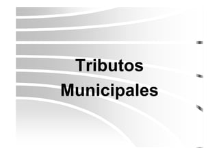 Tributos
Municipales
 