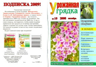 урожайная грядка 2008 №10