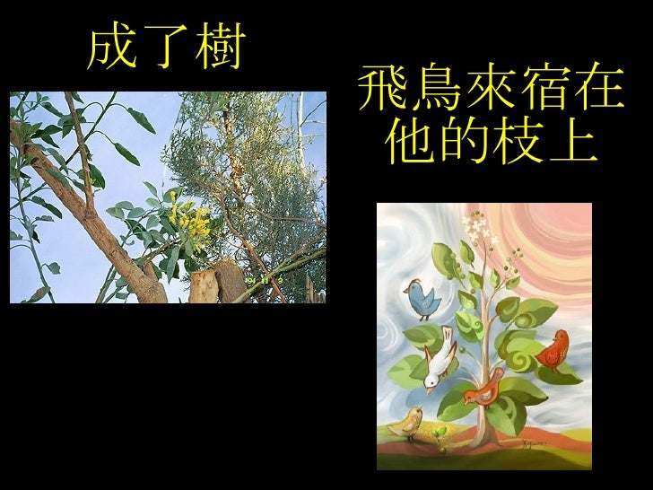 十月芥菜 梁永善牧師 十月芥菜 梁永善牧師