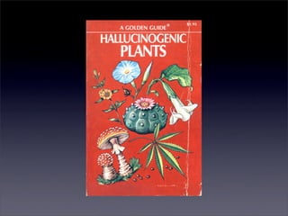 禁忌之門：藥與六○年代搖滾