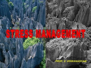 STRESS MANAGEMENT PROF. V. VISWANADHAM 