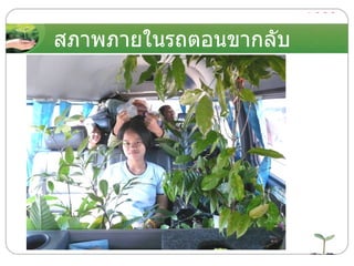 สภาพภายในรถตอนขากลับ 