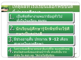 เหตุผลที่โรงเรียนเลือกพืชชนิดนี้ทำการศึกษา 1. เป็นพืชที่หาง่ายพบว่ามีอยู่ทั่วไป ทั้งในโรงเรียน ชุมชน  และที่บ้านของนักเรียนเอง . 2. นักเรียนผู้ศึกษารู้จักพืชที่จะใช้ศึกษาเป็นอย่างดี 3. มีช่วงอายุสั้น ประมาณ  9 -12  เดือน  สะดวกในการศึกษา 4. วิเคราะห์และศึกษาธรรมชาติแห่งชีวิต ของรูปลักษณ์ ส่วนใดส่วนหนึ่งของกล้วยน้ำว้าทั้ง ส่วนที่เป็น ราก  ลำต้น ใบ ดอก ผล  ได้ง่ายไม่ซับซ้อน  นักเรียนทุกระดับชั้นสามารถทำได้ 