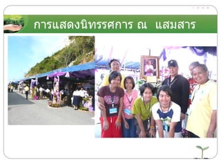 การแสดงนิทรรศการ ณ  แสมสาร 