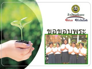 ขอขอบพระคุณค่ะ 