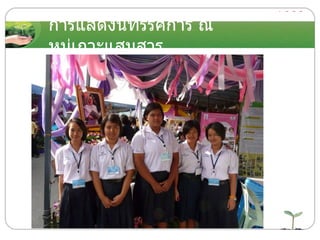 การแสดงนิทรรศการ ณ หมู่เกาะแสมสาร 