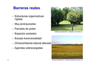 Barreras reales

     - Estructuras organizativas
       rígidas
     - Muy jerarquizadas
     - Parcelas de poder
       ...