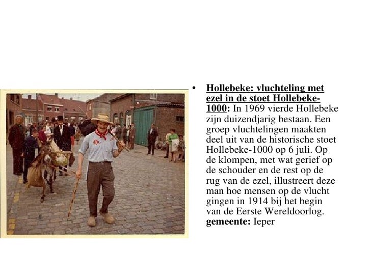 zwarte ezel amateurs
