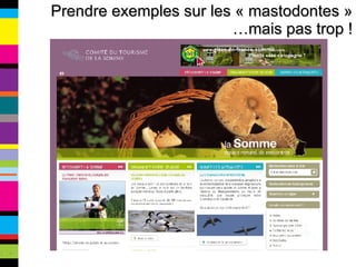 Prendre exemples sur les « mastodontes » …mais pas trop ! 