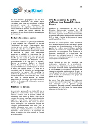 2008117 White Paper Bluekiwi Sept08 Final