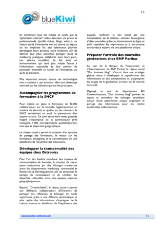 2008117 White Paper Bluekiwi Sept08 Final