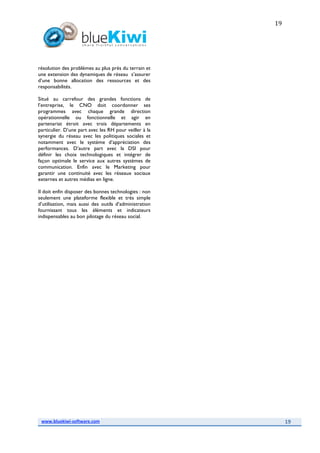 2008117 White Paper Bluekiwi Sept08 Final