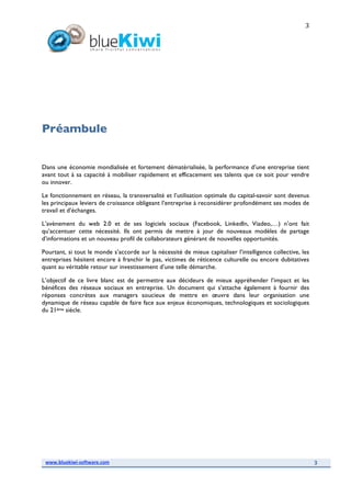 2008117 White Paper Bluekiwi Sept08 Final