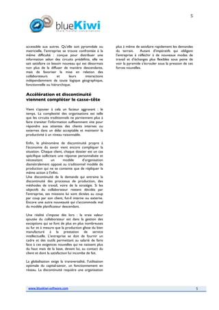 2008117 White Paper Bluekiwi Sept08 Final