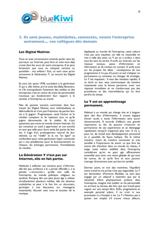 2008117 White Paper Bluekiwi Sept08 Final