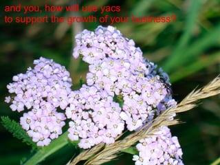 and you, how will use yacs to support the growth of your business? 