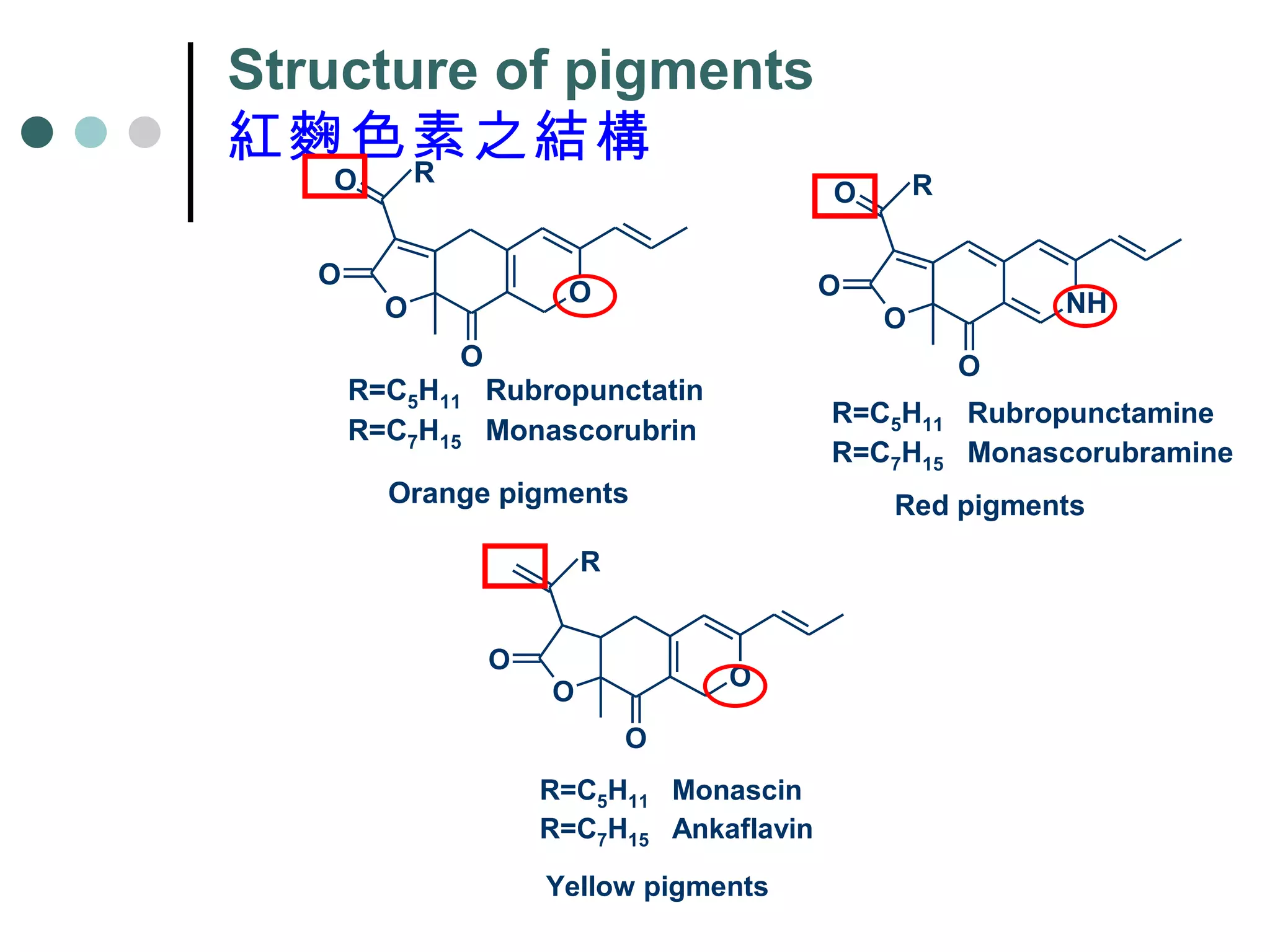 Structure of pigments 紅麴色素之結構 