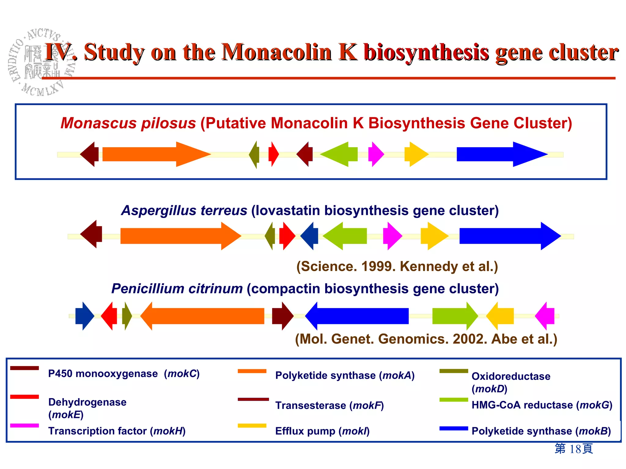 Monascus pilosus  (Putative Monacolin K Biosynthesis Gene Cluster) Penicillium citrinum  (compactin biosynthesis gene cluster)   (Mol. Genet. Genomics. 2002. Abe et al.) Aspergillus terreus  (lovastatin   biosynthesis gene cluster) (Science. 1999.  Kennedy  et al.) P450 monooxygenase  ( mokC ) Polyketide synthase ( mokB ) Oxidoreductase ( mokD ) Dehydrogenase ( mokE ) HMG-CoA reductase ( mokG ) Transesterase ( mokF ) Transcription factor ( mokH ) Efflux pump ( mokI ) Polyketide synthase ( mokA ) IV. Study on the Monacolin K  biosynthesis  gene cluster 