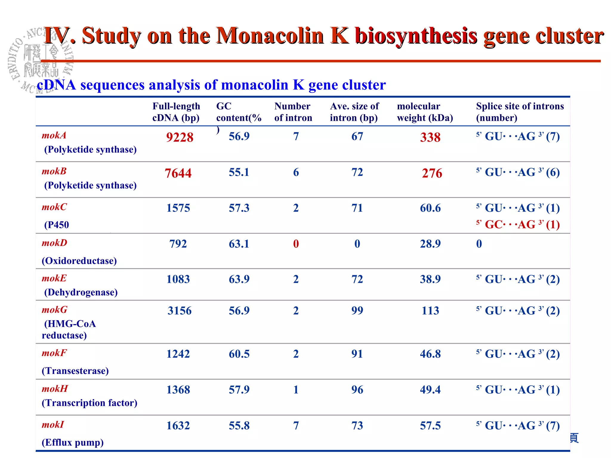 cDNA sequences analysis of monacolin K gene cluster 5’  GU· · ·AG  3’  (2)  113 99 2 56.9 3156 mokG (HMG-CoA reductase) 5’  GU· · ·AG  3’  (1)  5’  GC· · ·AG  3’  (1)   60.6 71 2 57.3 1575 mokC (P450 monooxygenase) 55.8 57.9 60.5 63.9 63.1 55.1 56.9 GC content(%) 5’  GU· · ·AG  3’  (7)  5’  GU· · ·AG  3’  (1)  5’  GU· · ·AG  3’  (2) 5’  GU· · ·AG  3’  (2) 0 5’  GU· · ·AG  3’  (6) 5’  GU· · ·AG  3’  (7)  Splice site of introns (number) 57.5 73 7 1632 mokI  (Efflux pump) 49.4 96 1 1368 mokH   (Transcription factor) 46.8 91 2 1242 mokF   (Transesterase) 38.9 72 2 1083 mokE (Dehydrogenase) 28.9 0 0 792 mokD  (Oxidoreductase) 276 72 6 7644 mokB (Polyketide synthase) 338 67 7 9228 mokA (Polyketide synthase) molecular weight (kDa) Ave. size of intron (bp) Number of intron Full-length cDNA (bp)  IV. Study on the Monacolin K  biosynthesis  gene cluster 