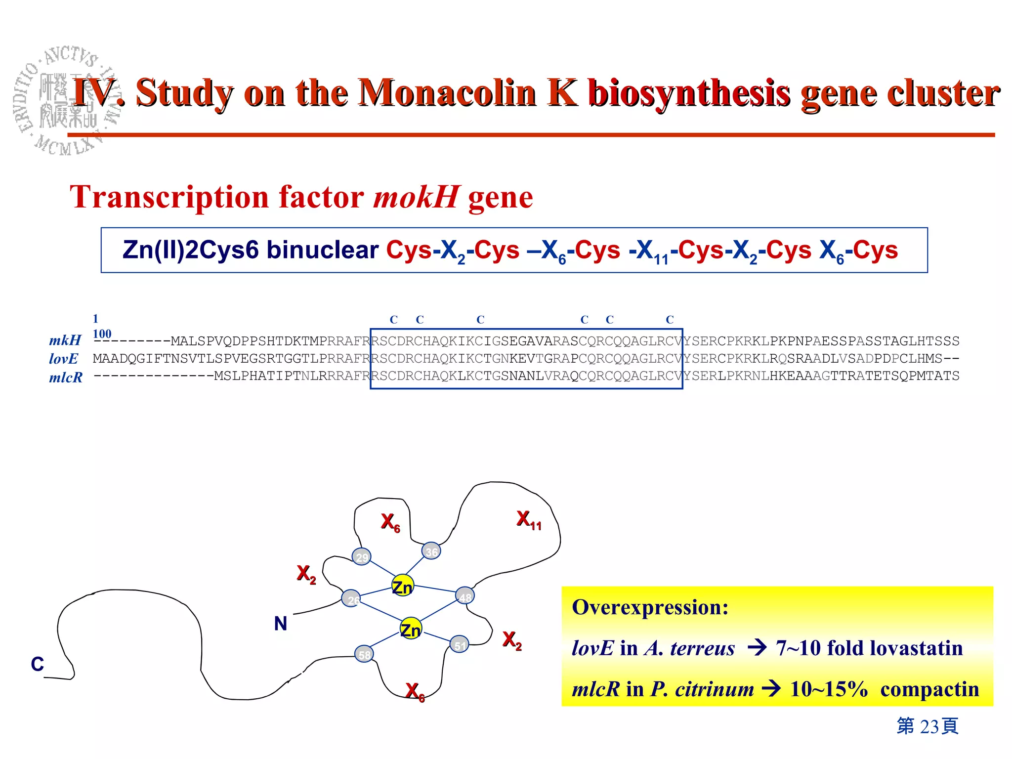 Transcription factor  mokH  gene Zn(II)2Cys6 binuclear   Cys -X 2 - Cys  –X 6 - Cys  -X 11 - Cys -X 2 - Cys  X 6 - Cys   Overexpression: lovE  in  A. terreus     7~10 fold lovastatin mlcR  in  P.   citrinum     10~15%  compactin 1  100 C C C C C C mlcR lovE mkH Zn Zn 26 29 36 48 51 58 N C X 2 X 6 X 11 X 2 X 6 IV. Study on the Monacolin K  biosynthesis  gene cluster 