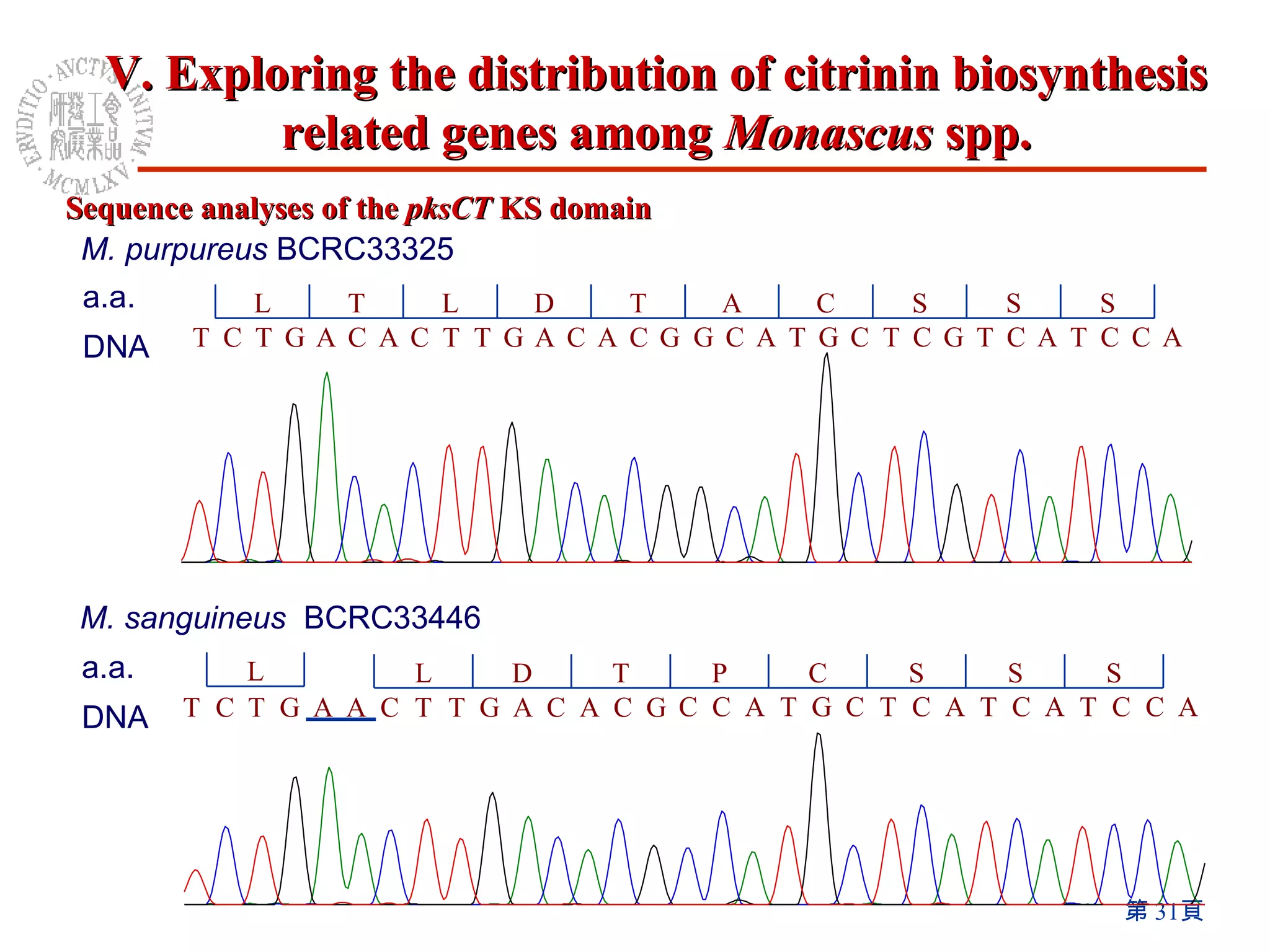 a.a. DNA a.a. DNA M. purpureus  BCRC33325 M. sanguineus   BCRC33446 Sequence analyses of the  pksCT  KS domain V. Exploring the distribution of citrinin biosynthesis related genes among  Monascus  spp. S S S C A T D L T L S S S C P T D L G C A C A G T T C A C A G T C T A C C T A C T G C T C G T A C G G C A C A G T T C A A G T C T A C C T A C T A C T C G T A C C L 