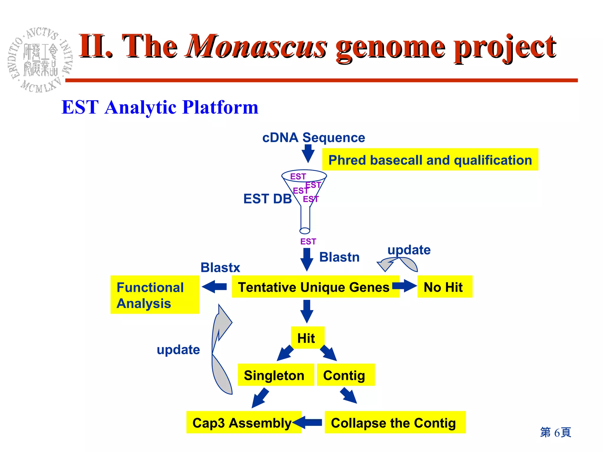 EST Analytic Platform II. The  Monascus  genome project cDNA Sequence EST DB Phred basecall and qualification EST EST EST EST EST Blastn Tentative Unique Genes  Hit  No Hit  Singleton  Contig  Collapse the Contig  Cap3 Assembly  update update Functional Analysis Blastx 