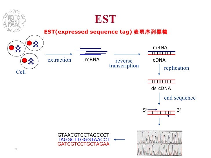 reverse transcription