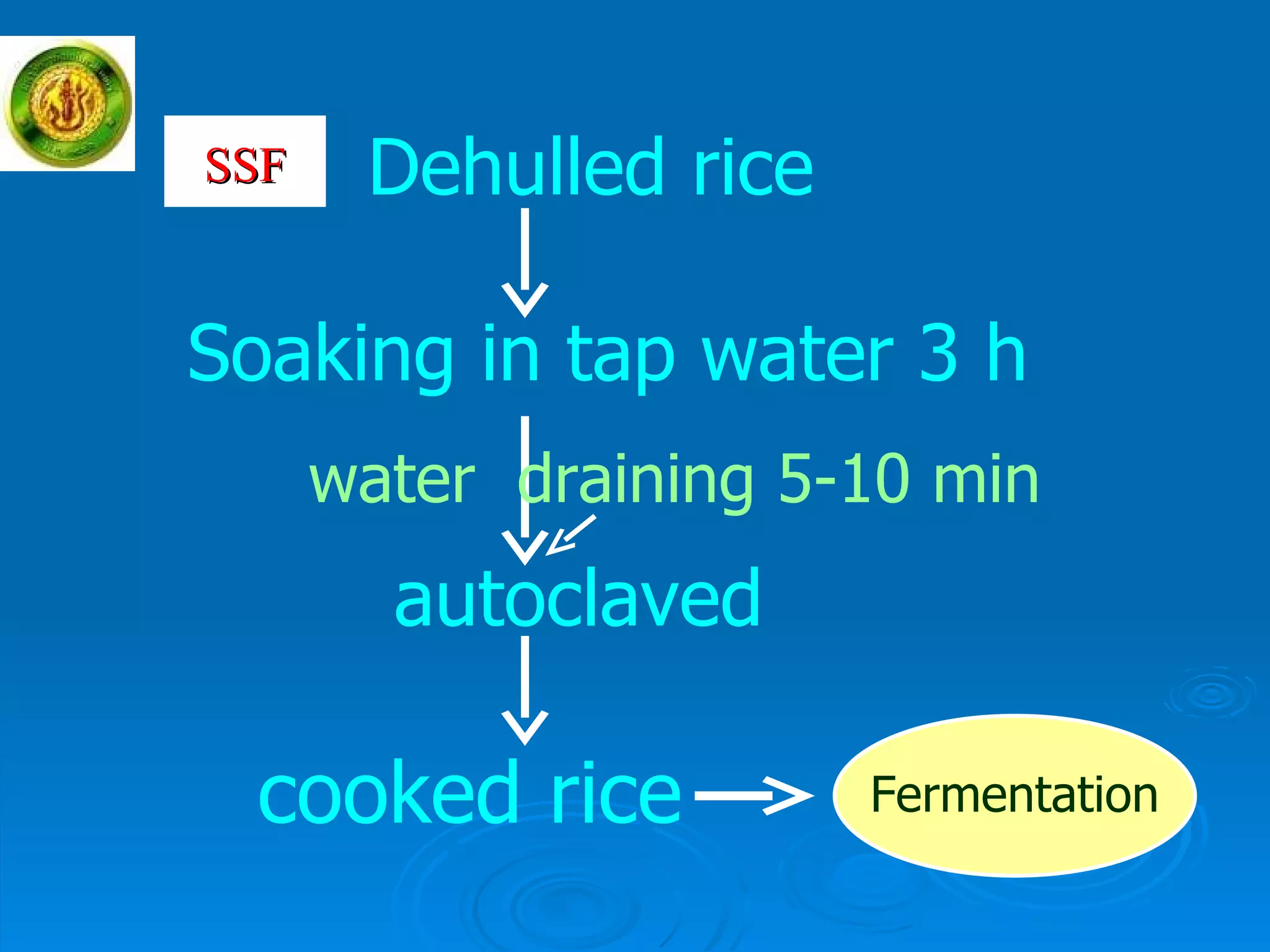 Dehulled rice Soaking in tap water 3 h water  draining 5-10 min autoclaved cooked rice Fermentation SSF 