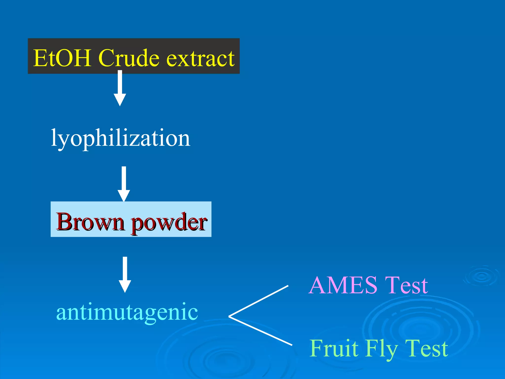 EtOH Crude extract antimutagenic lyophilization Brown powder AMES Test Fruit Fly Test 