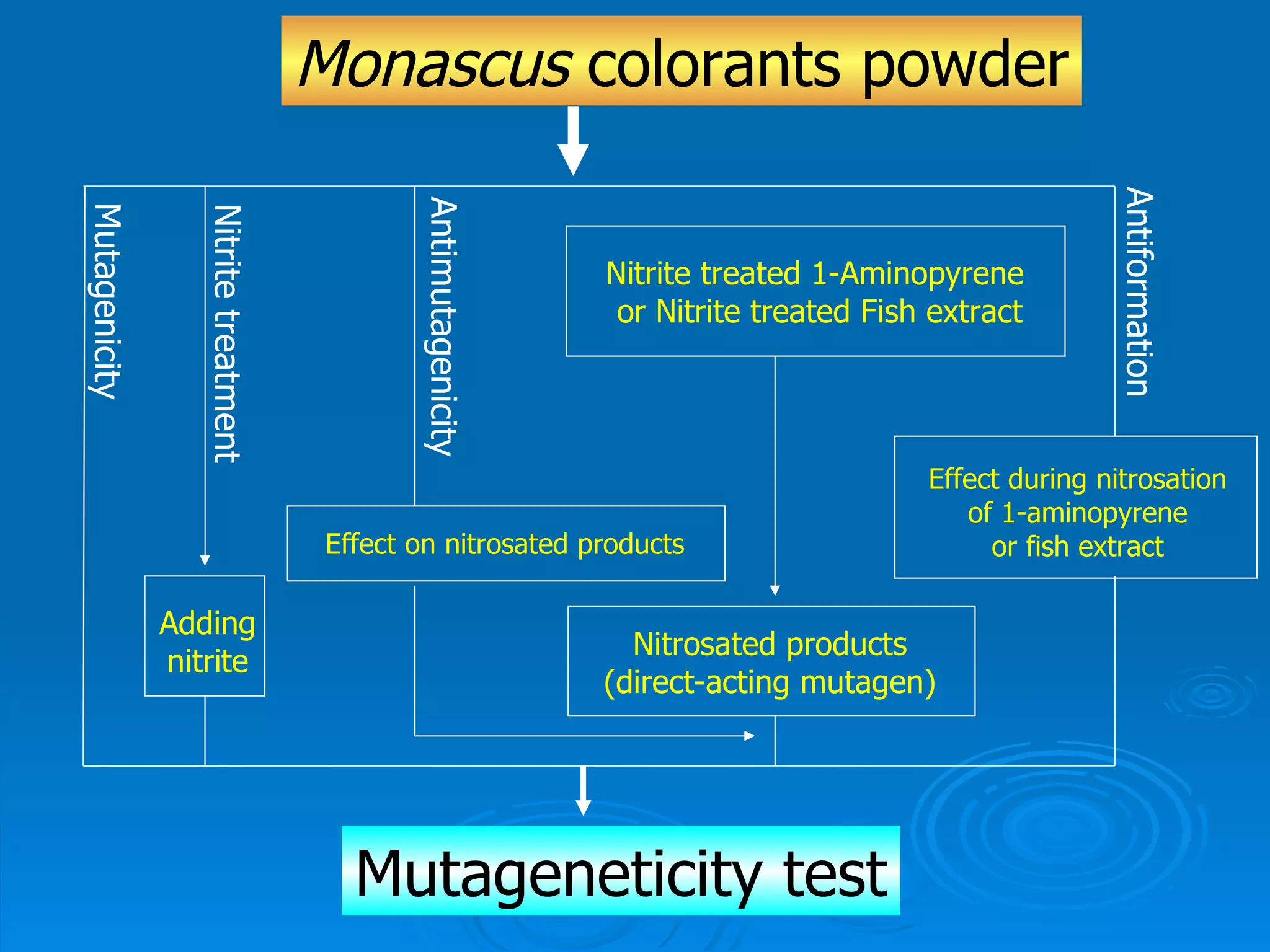 Nitrite treated 1-Aminopyrene  or   Nitrite treated Fish extract Effect during nitrosation of 1-aminopyrene or fish extract Nitrosated products (direct-acting mutagen) Effect on nitrosated   products Adding nitrite Mutageneticity test Antiformation Antimutagenicity Nitrite treatment Mutagenicity Monascus  colorants powder 