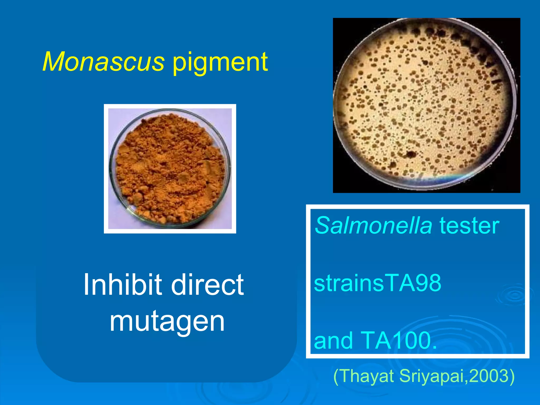(Thayat Sriyapai,2003) Salmonella  tester  strainsTA98 and TA100.   Inhibit direct  mutagen Monascus  pigment 