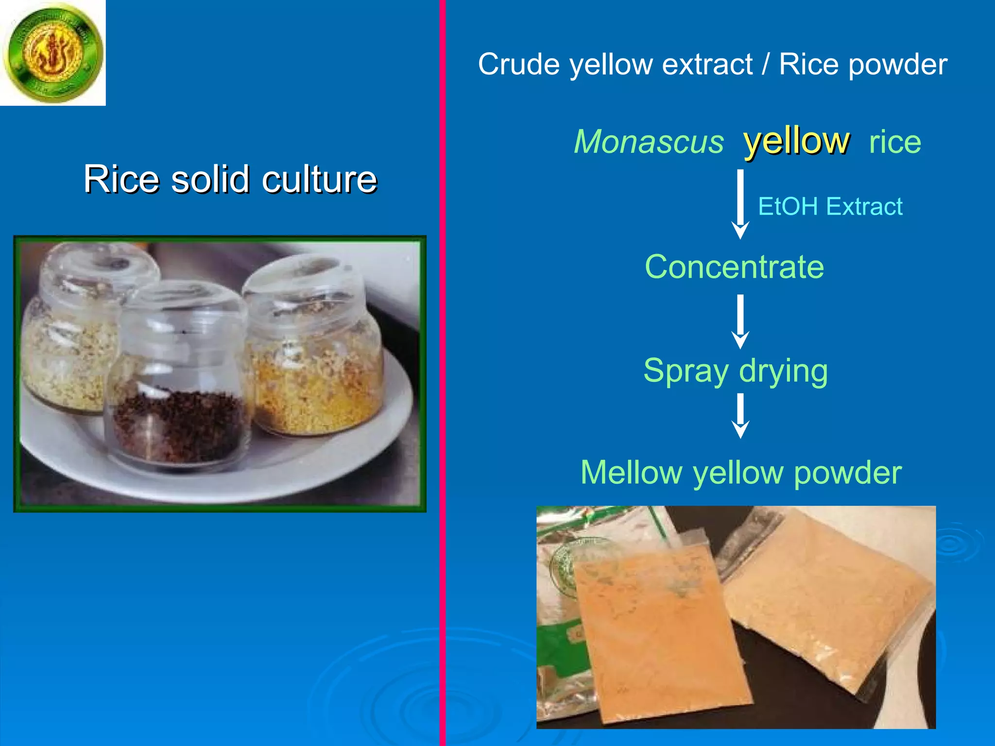 Monascus  yellow   rice EtOH Extract Concentrate Spray drying Mellow yellow powder Rice solid culture Crude yellow extract / Rice powder 