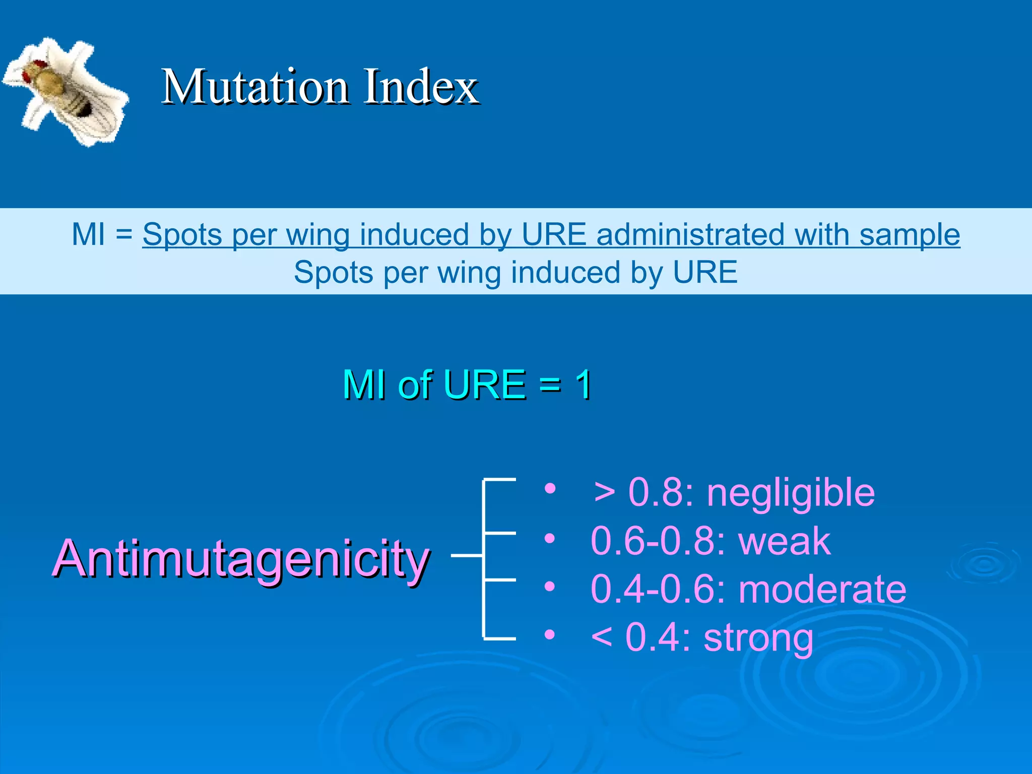 Mutation   Index MI =  Spots per wing induced by URE administrated with sample Spots per wing induced by URE MI of URE = 1 Antimutagenicity > 0.8: negligible  0.6-0.8: weak 0.4-0.6: moderate  < 0.4: strong 