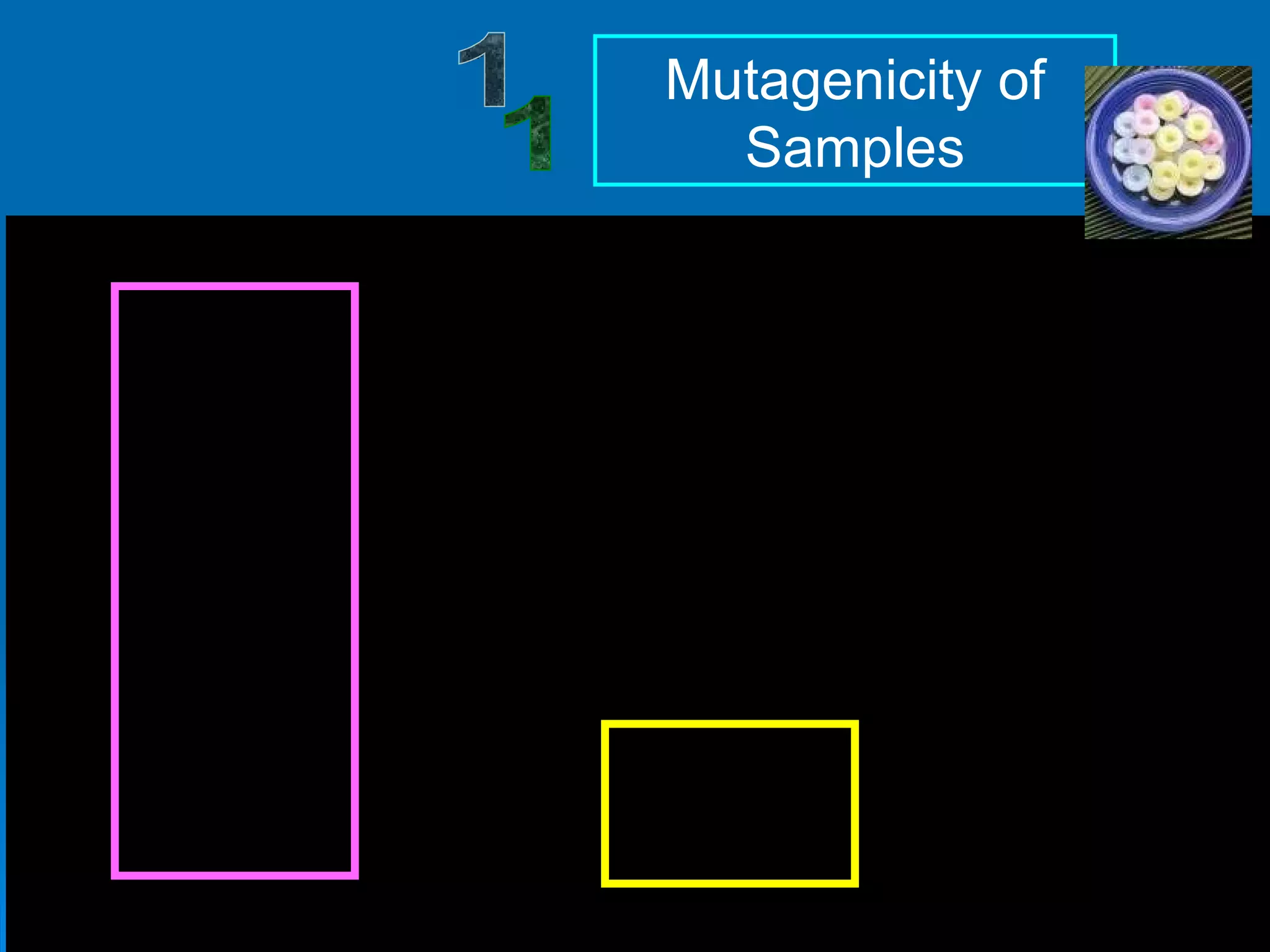 1 Mutagenicity of Samples 