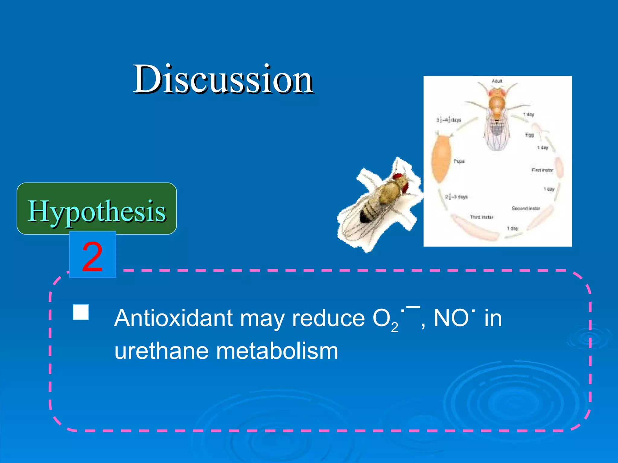 Discussion Hypothesis 2 Antioxidant may reduce  O 2 ˙¯, NO˙  in  urethane metabolism 